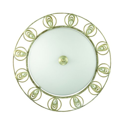 Настенно потолочный светильник Odeon Light Kanti 3483/3С