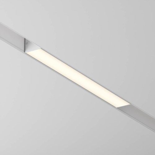 Трековый светильник Maytoni Basis Gravity TR074-2-12W3K-W