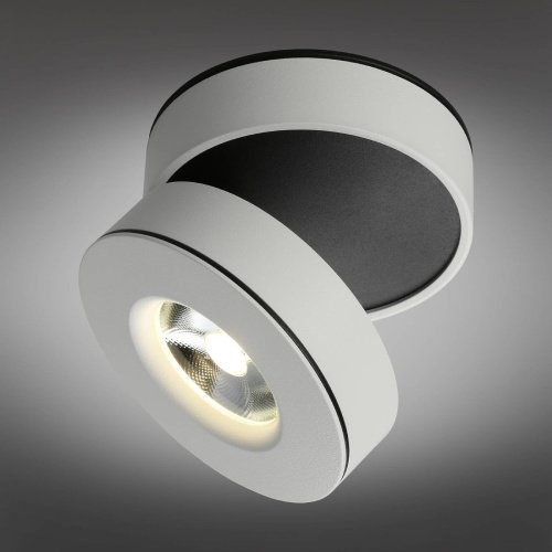 OML-101909-12 Накладной светильник Omnilux Borgetto OML-101909-12