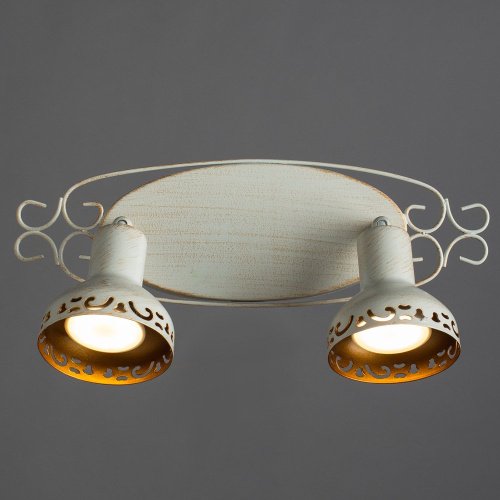 A5219AP-2WG Светильник спот Arte Lamp FOCUS A5219AP-2WG