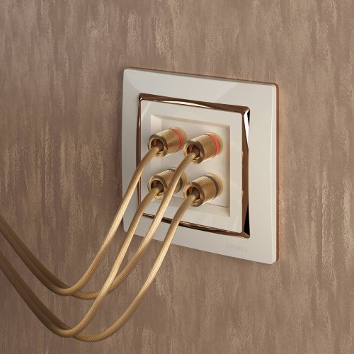 Розетка Werkel W1185003/ Акустическая розетка (слоновая кость)