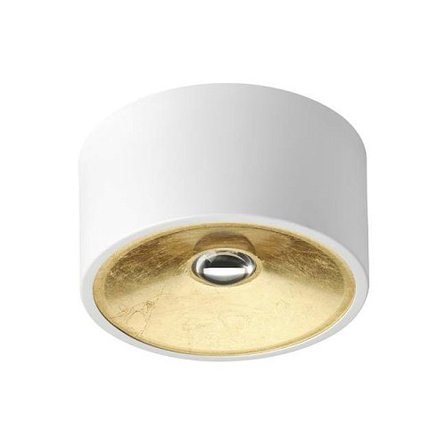 3892/1C Светильник потолочный Odeon Light Glasgow 3892/1C