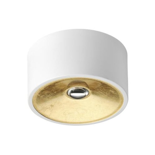 Светильник потолочный Odeon Light Glasgow 3892/1C