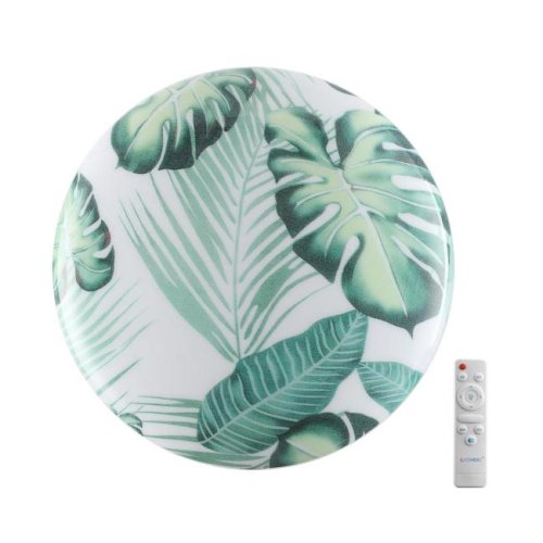 Настенно потолочный светильник Sonex Flori 7748/DL