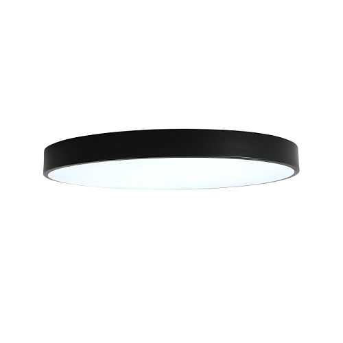 Светильник потолочный Zortes Tortty ZRS.02563.96