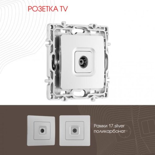 Розетка Arte Milano Am-217 217.43-1.silver
