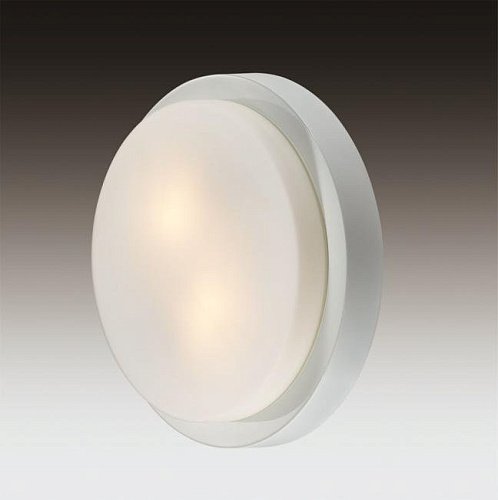 2745/2C Настенно потолочный светильник Odeon Light Holger 2745/2C