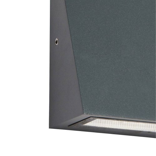 Уличный настенный светильник Favourite Dela 3025-1W