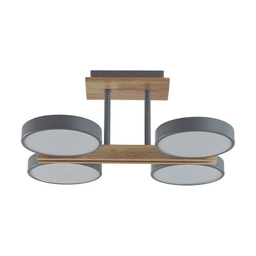 8031/72CL Потолочная люстра Lumion Plato 8031/72CL