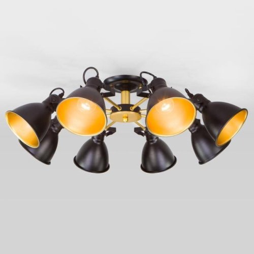 Потолочная люстра Eurosvet Denley 70112/8 черный