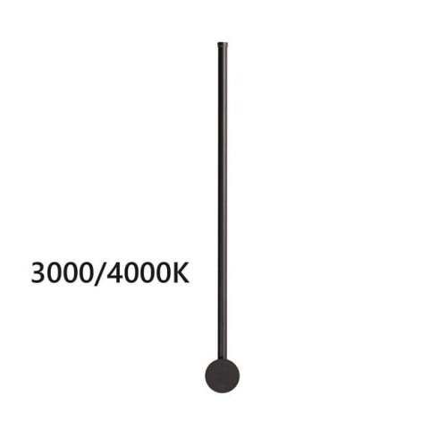 Настенный светильник Odeon Light Fillini 4335/12WLP