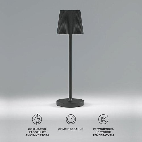 Настольная лампа Elektrostandard Mist Mist черный (TL70220)