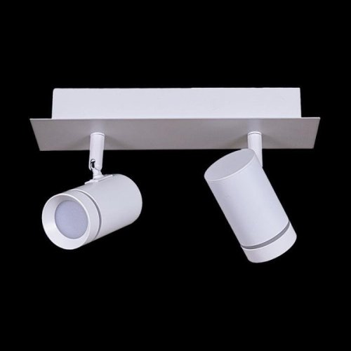 Спот 84281-9.5-002RT LED2*5W WT