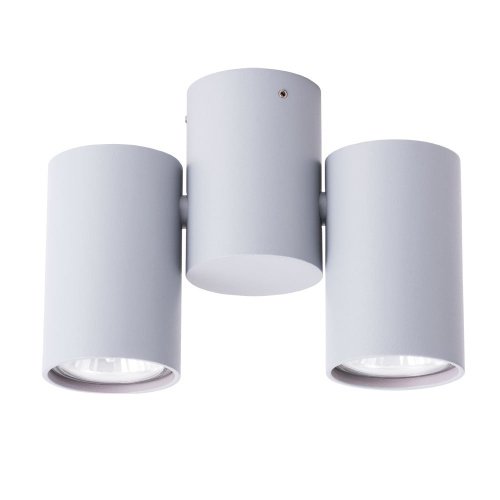 Накладной светильник Arte Lamp Gavroche A1511PL-2GY