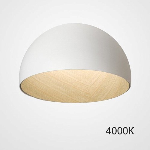 224006-23 Светильник потолочный ImperiumLoft Bara01 224006-23