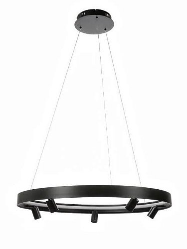 Подвесная люстра MyFar James MR2201-1PL