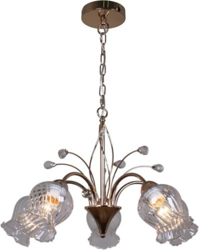 Подвесная люстра 50028-0.4-05 FGD