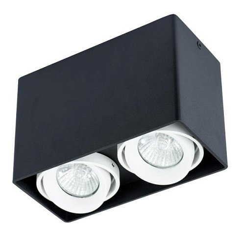 A5655PL-2BK Накладной светильник Arte Lamp Pictor A5655PL-2BK
