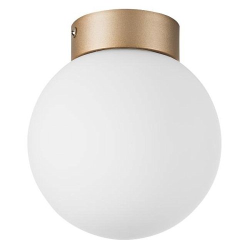 812013 Светильник потолочный Lightstar Globo 812013