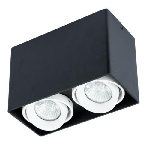 Накладной светильник Arte Lamp Pictor A5655PL-2BK