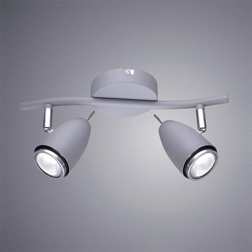A1966AP-2GY Светильник спот Arte Lamp Regista A1966AP-2GY