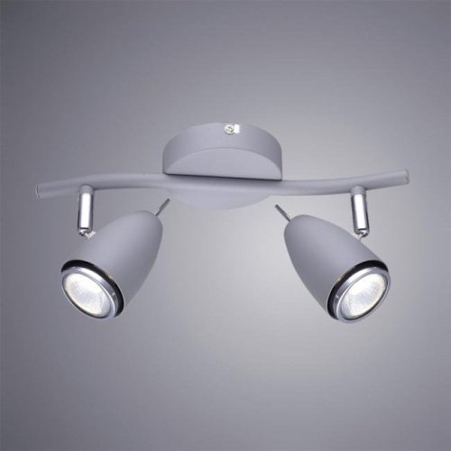 A1966AP-2GY Светильник спот Arte Lamp Regista A1966AP-2GY