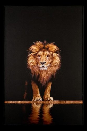 Картина настенная Teona Decor Lion TD142