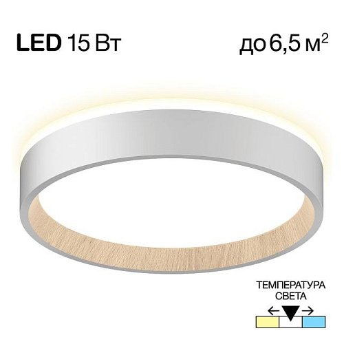 CL750180 Светильник потолочный Citilux Etalon CL750180