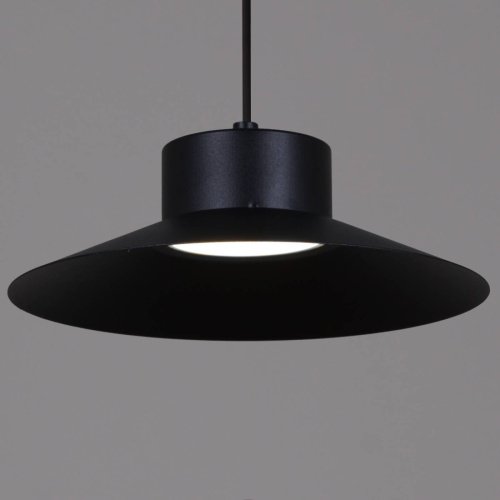 Подвесной светильник Reluce 40110-0.9-03A BK