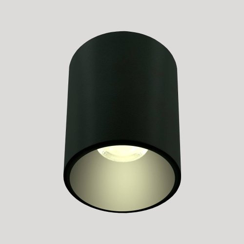 LE201CL-1BA Накладной светильник LIGHTERA Shamrock LE201CL-1BA