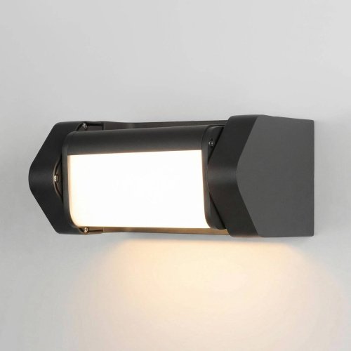 Уличный настенный светильник Elektrostandard DORS DORS D LED (35163/D) 3000K черный