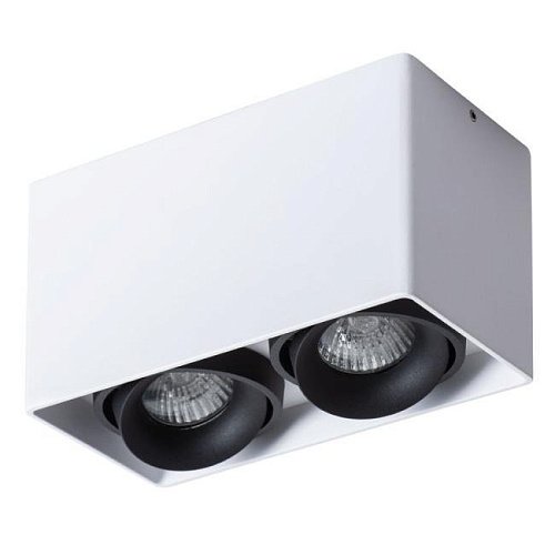 A5654PL-2WH Накладной светильник Arte Lamp Pictor A5654PL-2WH