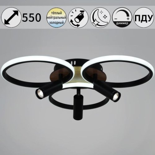 Потолочная люстра 09440-0.3-3+3