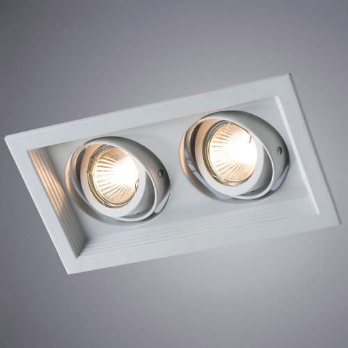 A6661PL-2WH Встраиваемый светильник Arte Lamp Canis A6661PL-2WH