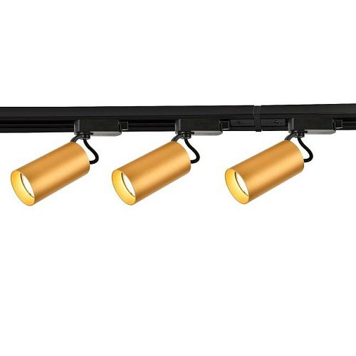 4019-3U Трековый светильник Favourite Imago 4019-3U