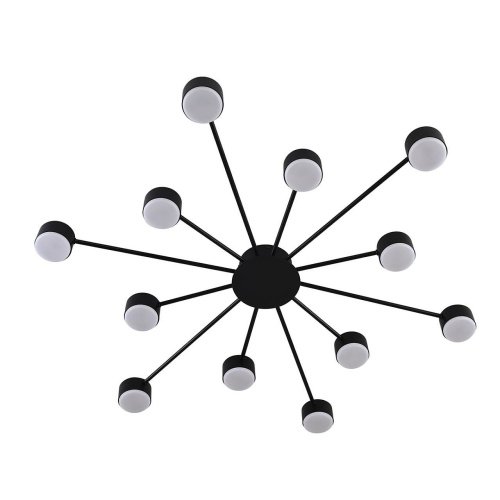 Потолочная люстра Lumion Torina 8344/12C