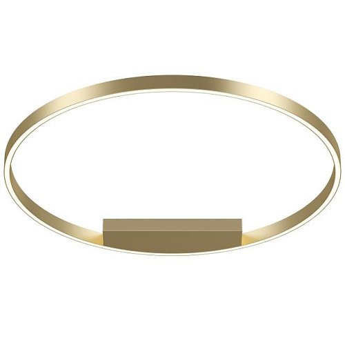 Светильник потолочный Maytoni Rim MOD058CL-L50BSK