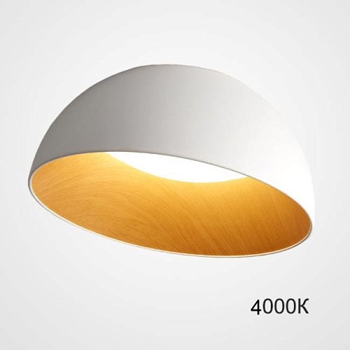 223996-23 Светильник потолочный ImperiumLoft Bara01 223996-23