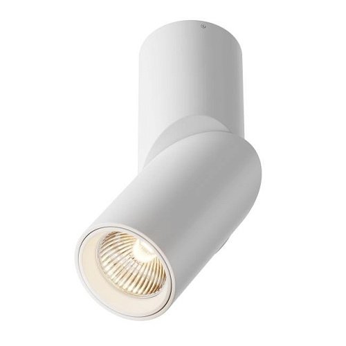 C027CL-L10W Накладной светильник Maytoni Dafne C027CL-L10W