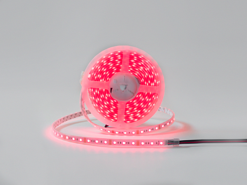 DSG560-12-RGB-65 LED лента SWG DesignLed DSG560 DSG560-12-RGB-65