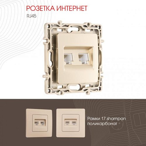 217.45-2.shampan Розетка Arte Milano Am-217 217.45-2.shampan