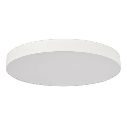 ST601.542.18 Светильник потолочный ST Luce Накладные Светильники ST601.542.18