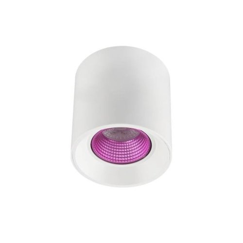 DK3090-WH+PI Накладной светильник Denkirs Dk3020Wpi DK3090-WH+PI