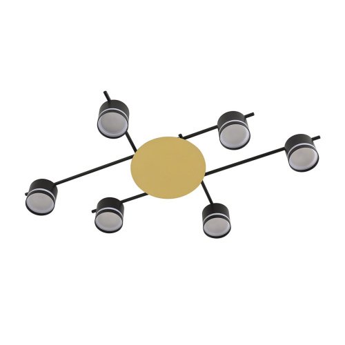 Потолочная люстра Lumion Benua 8304/6C