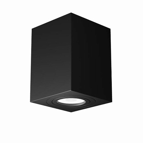 C017CL-01B Накладной светильник Maytoni Alfa C017CL-01B