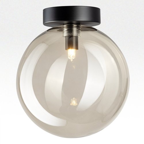CL202511 Светильник потолочный Citilux Orton CL202511