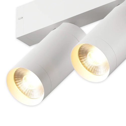 Трековый светильник AM Group AM590 2X10W 4000K WH