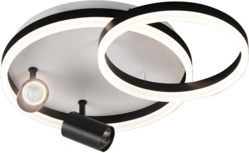 Потолочная люстра 02464-0.3-550