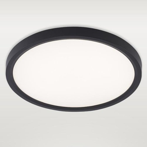 Светильник потолочный Natali Kovaltseva Plain LED LAMPS 81114/2C