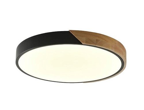 ZRS.01287.24 Светильник потолочный Zortes Alberro ZRS.01287.24